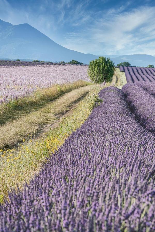 Gite Le Val Zen Valaurie - Drome Provencale Экстерьер фото